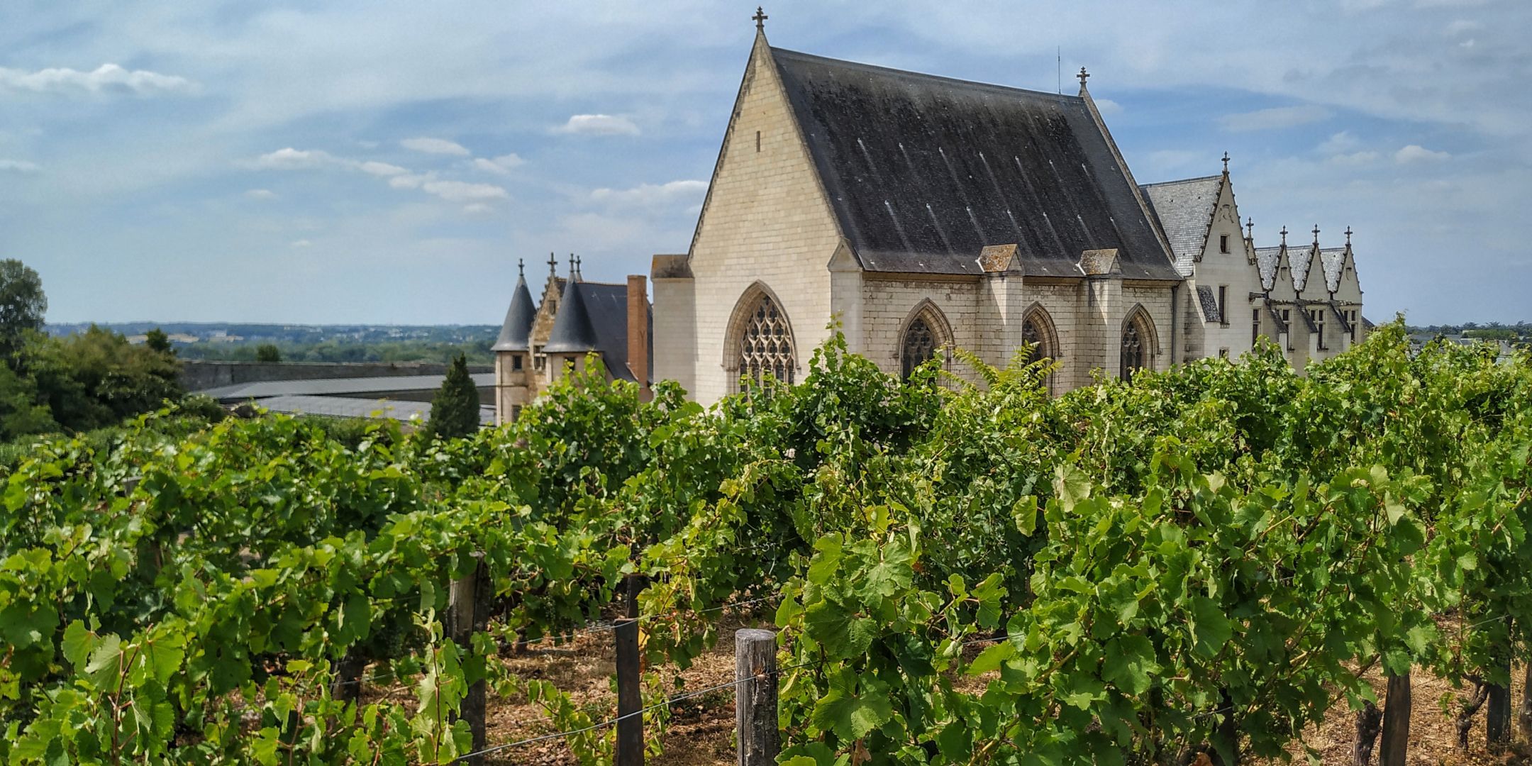 Chateau_Angers_2.jpg