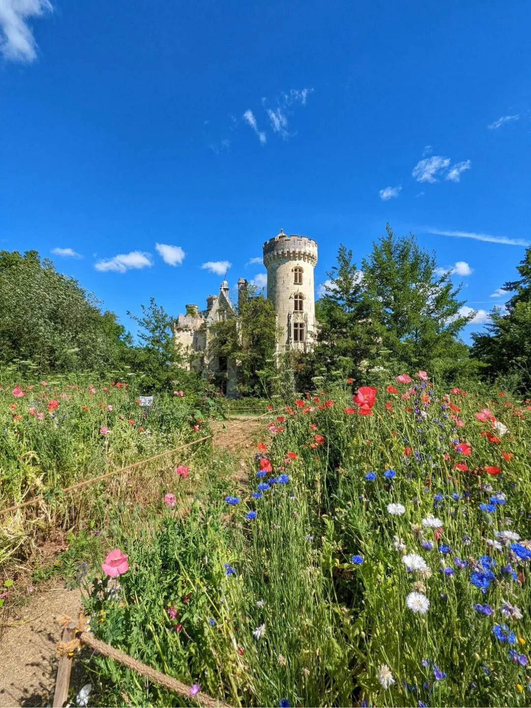 ChateauMotheChandeniers_2.jpg