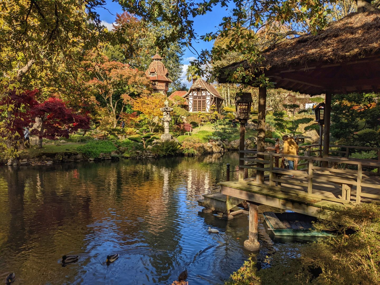 DSC_00130.jpg