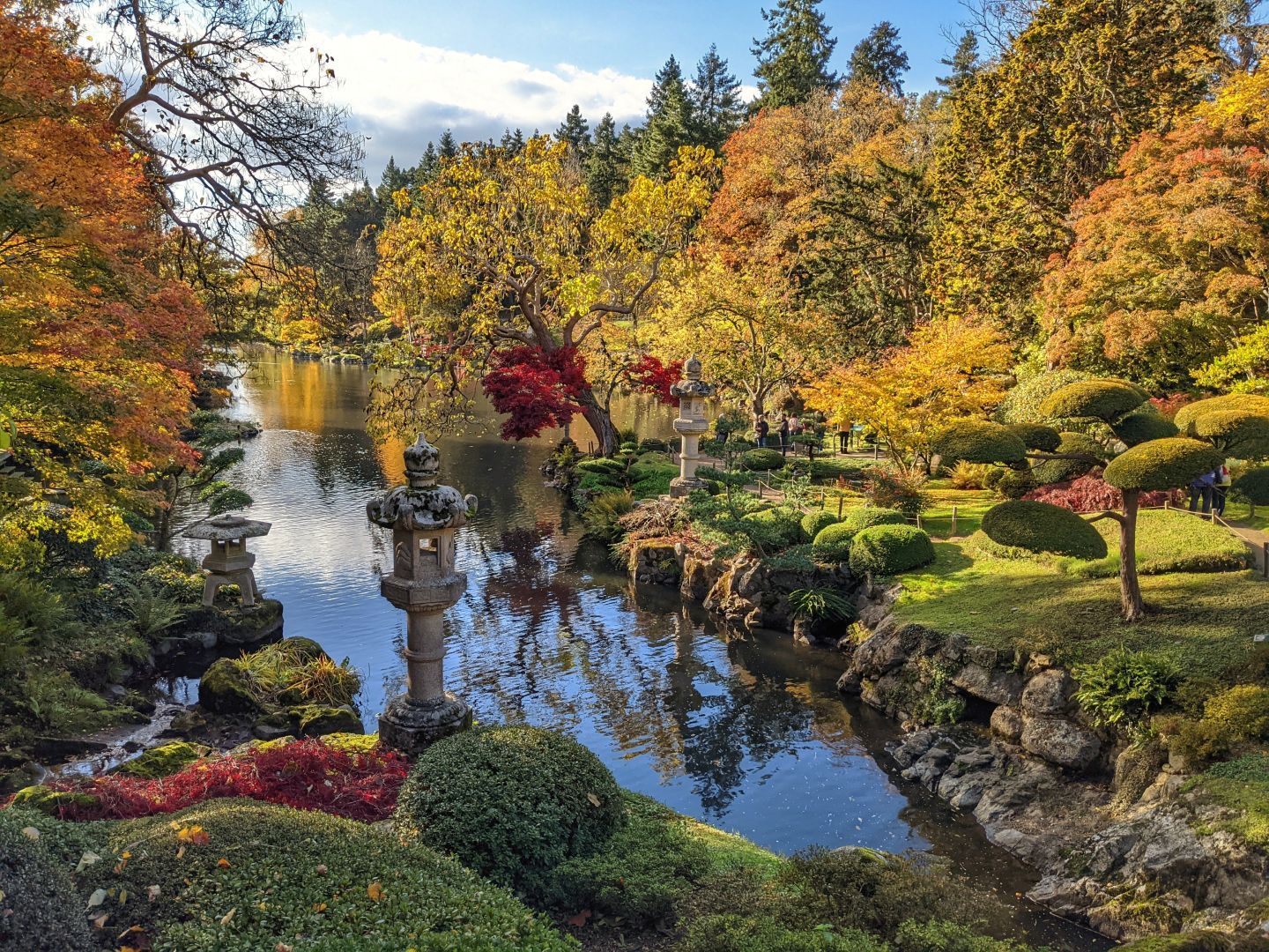 DSC_00131.jpg