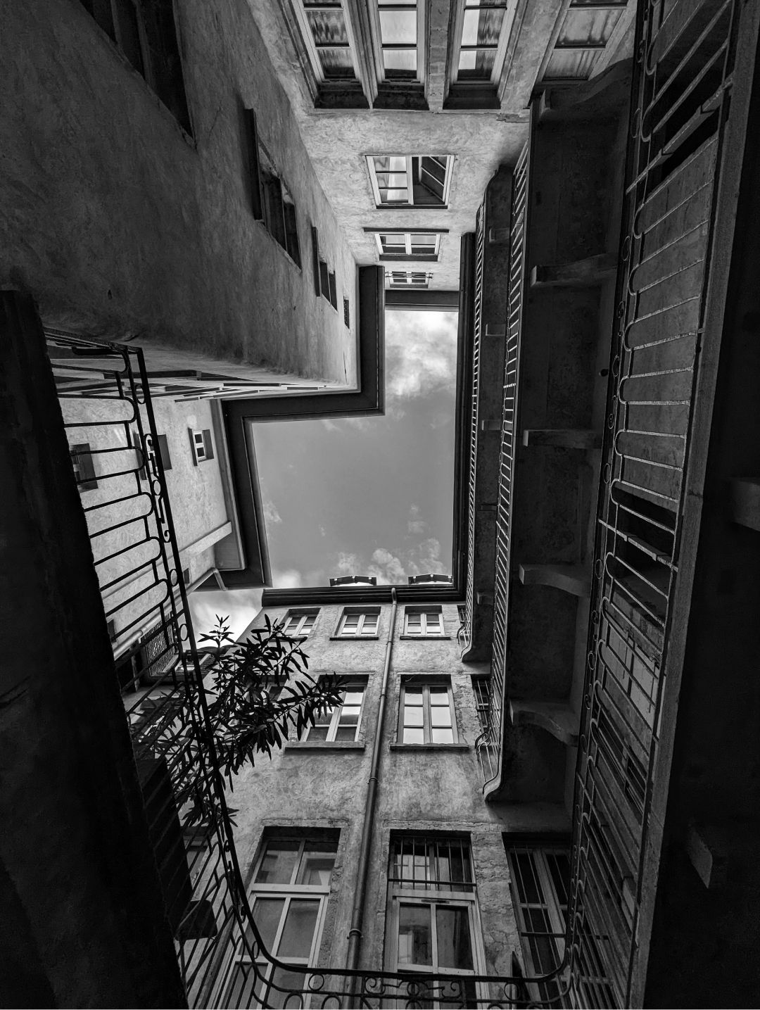 DSC_00141.jpg