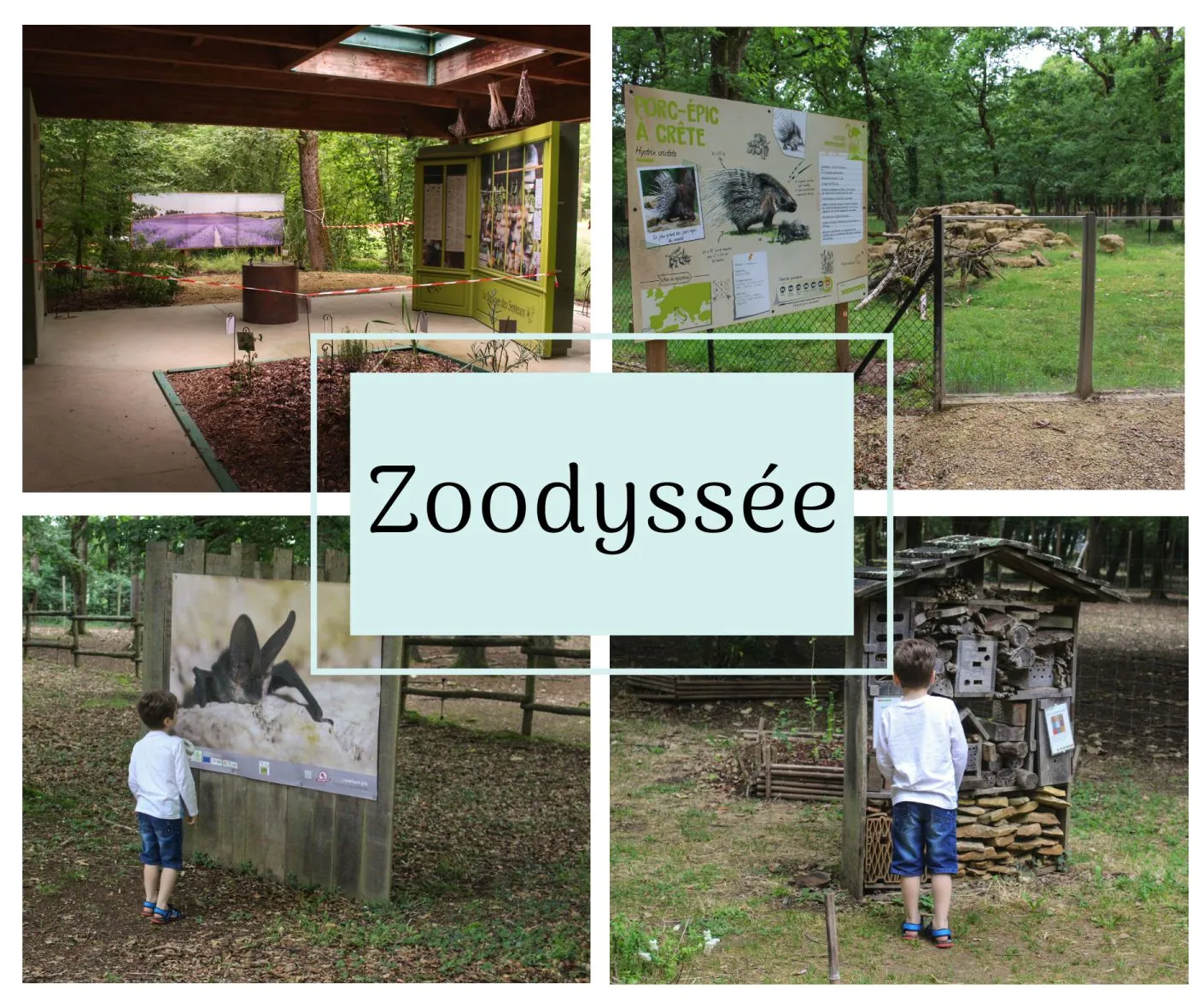 Zoodyssee_1.jpg